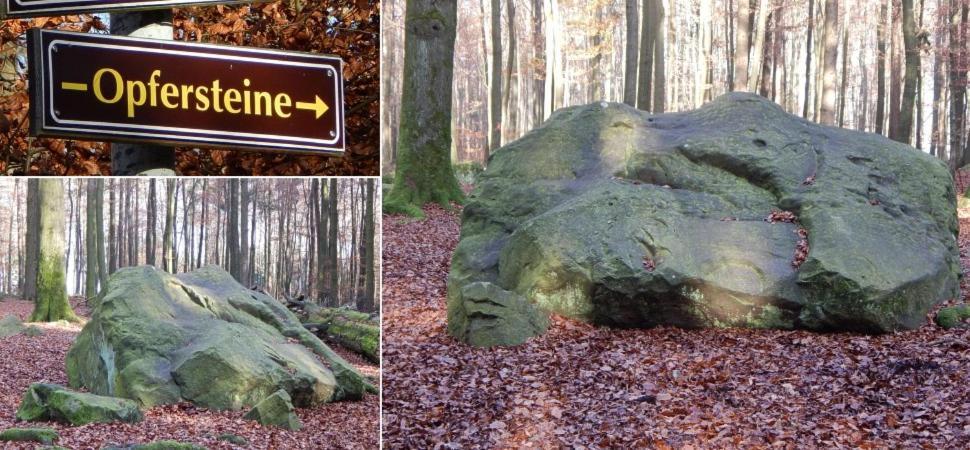 Fewo Charlotte Horn-Bad Meinberg Eksteriør bilde